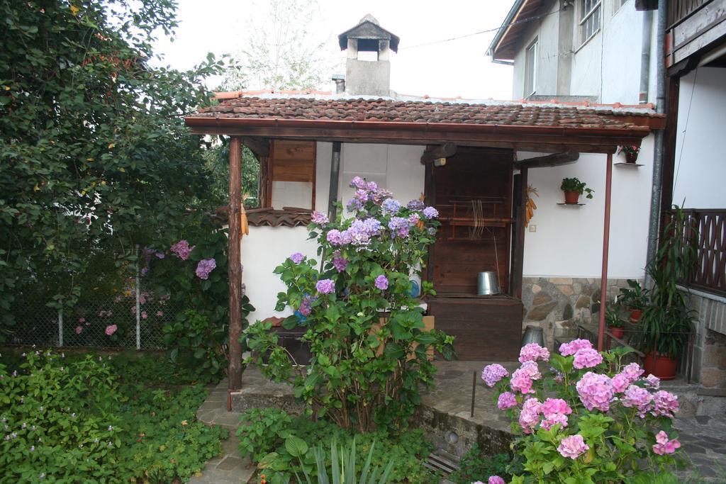 Todorova House Hotell Zlatograd Eksteriør bilde